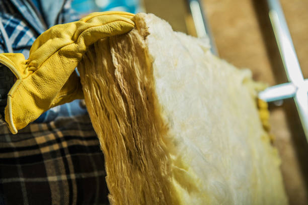 Professional Insulation Contractor in Easton, MD